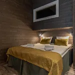 Lägenhetshotell Ski-inn Rukavalley 4*