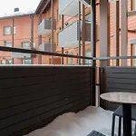 Ski-inn Rukavalley 4*