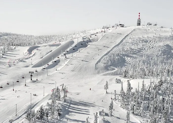 Ski-inn Rukavalley Aparthotel 4*